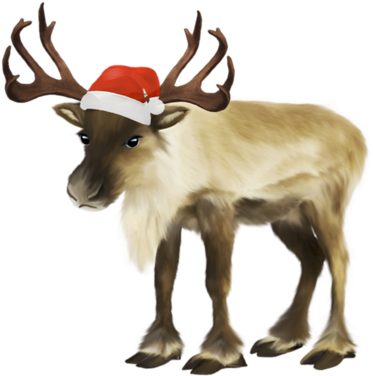 Santa Claus Reindeer Christmas Clip Art - Sled (500x500)
