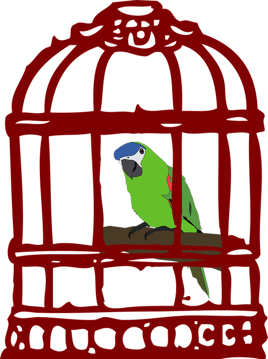 Bird In A Cage - Quote About Achieving Dreams (537x720)