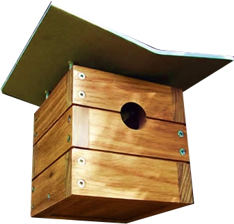 Backgrounds 1519080816 Birdhouse Design Activity02 - Modern Birdhouse (372x372)