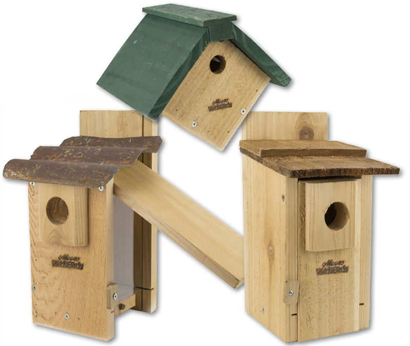 Bird - Nest Box (800x675)