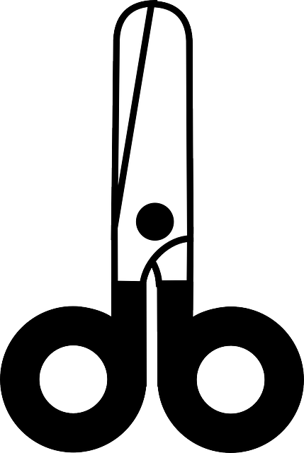 Cut Scissors, Household, Office, Cut - Closed Scissors (429x640)
