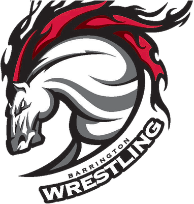 Bhs Bronco Wrestling - Golden Horse Shower Curtain (400x400)