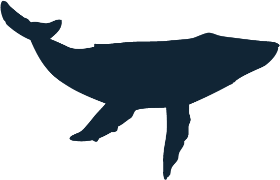 Sponsors - Whale Silhouette Transparent (600x506)