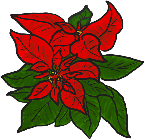 Free Poinsettia Clip Art - Poinsettia Free Clipart (500x500)