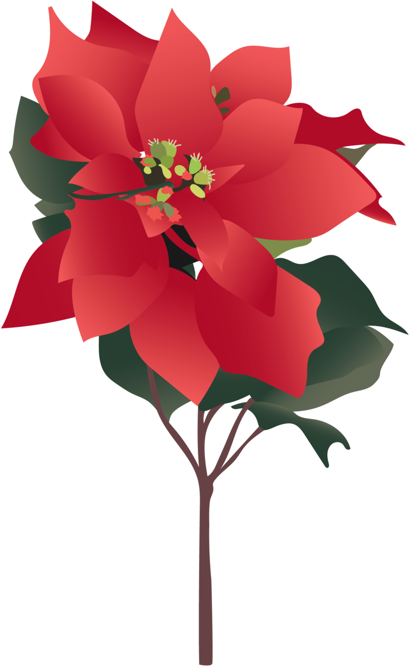 Winter Flower - Winter Flower (1000x1499)