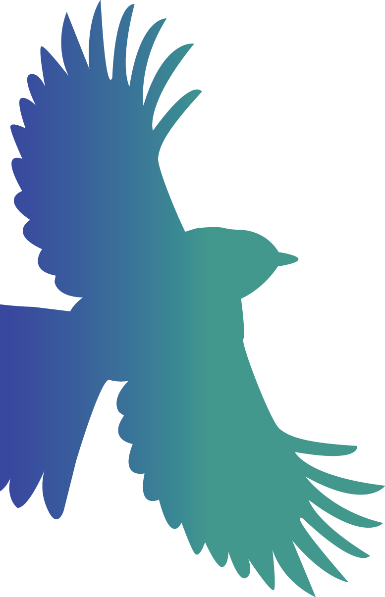 Red-tailed Hawk (777x1206)