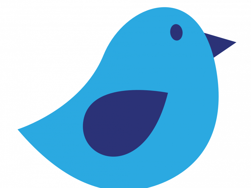 Download Simple Pictures - Bird Vector Png White (800x600)