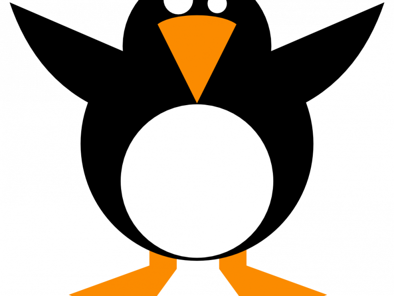 Download Simple Pictures - Simple Penguin (800x600)