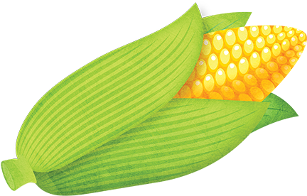 Sweet Corn - Sweet Corn (500x500)