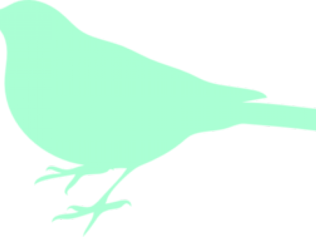 Mint Clipart Bird - Complices: Esta Vez, La Aventura De Leer (640x480)