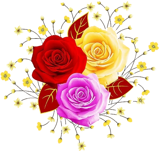 Garden Roses Beach Rose Flower Illustration - Portable Network Graphics (600x591)