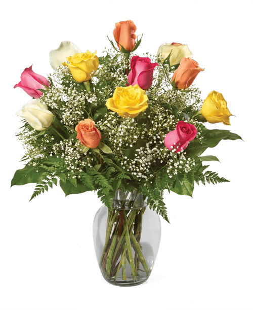 Whispers, Rainbow Roses - Flower Express Usa (500x611)