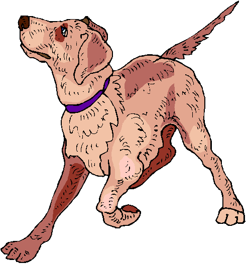 Russ Used To Walk His Dog Four Miles A Day And Play - Encapsulated Postscript (490x526)