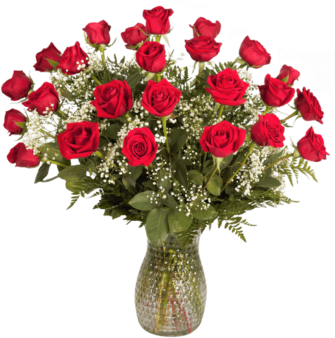 Two Dozen Long-stemmed Rose Arrangement • $89 - Carnation Arrangements In Vase (500x611)