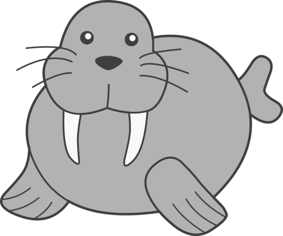 Showing Walrus Clipart Pictures With A Bite Imagegator - Walrus Clip Art (550x460)