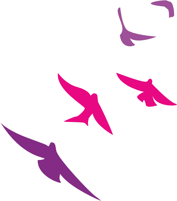 Birds - Iraq (689x690)