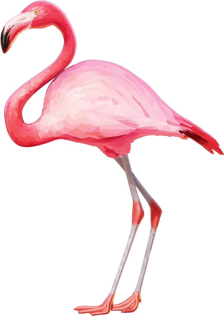 Download Png Image Report - Flamingo Png (1185x1064)