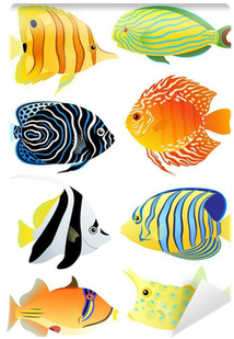 Fotobehang Collectie Van Tropische Vissen • Pixers® - Tropical Fish Pdf (400x400)