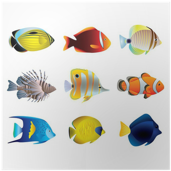 熱帶魚 向量 (400x400)