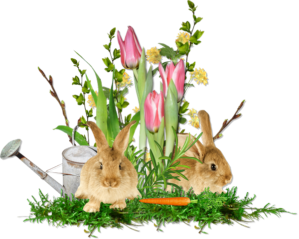 Cheyokota Digital Scraps - Scrapbooking (600x480)