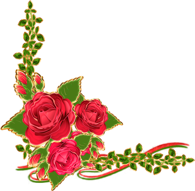 Garden Roses Flower Picture Frames Floral Design - Studio Background Psd Free Download (650x650)