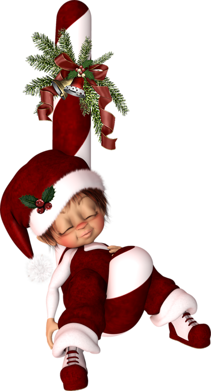 Cookies - Christmas Ornament (432x800)