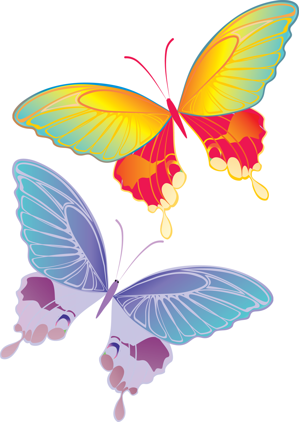 «две Цветные Бабочки» Карточка Пользователя Vawri4uk - Jujeo View Window Leather Card Holder Case (1000x1411)
