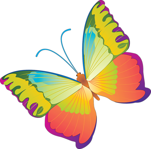 Бабочки, Рисованные, Формат Png - Borboleta Coloridas De Papel Para Recortar (500x496)