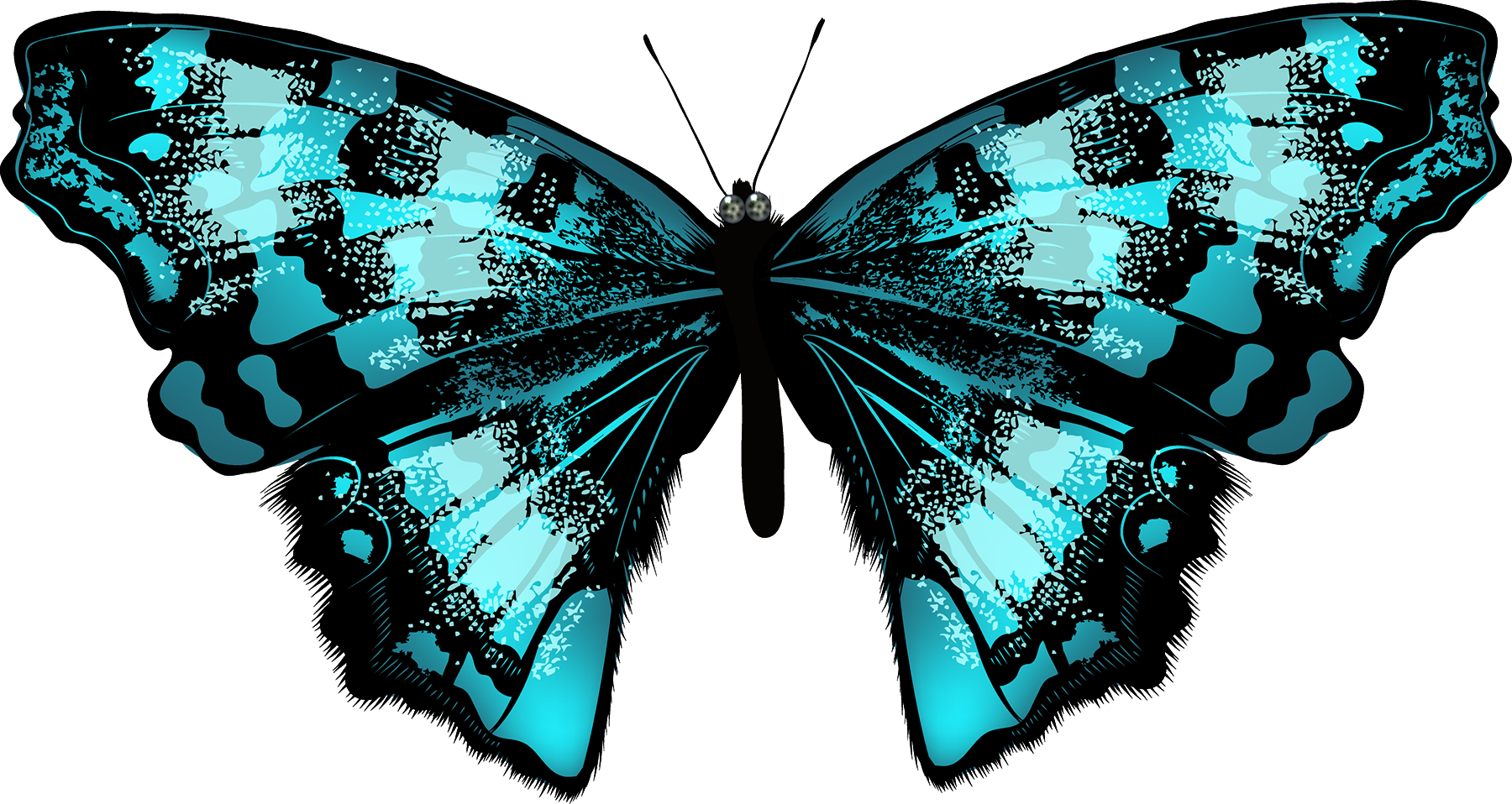 Бабочка Png На Прозрачном Фоне (1800x958)