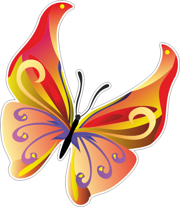 Бабочка - Butterfly Vector (800x800)