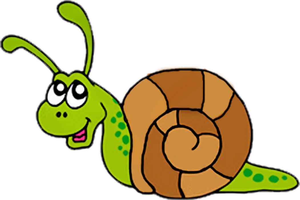Snail Clip Art - Clip Art (1051x700)