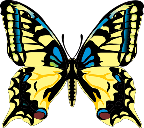 Бабочки - - Просмотров - 157 - Добавил - Danjuta - - Нарисованные Бабочки Без Фона (500x443)