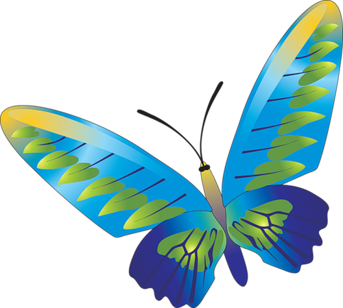 Бабочки - - Просмотров - 166 - Добавил - Danjuta - - Butterfly Vector (500x449)