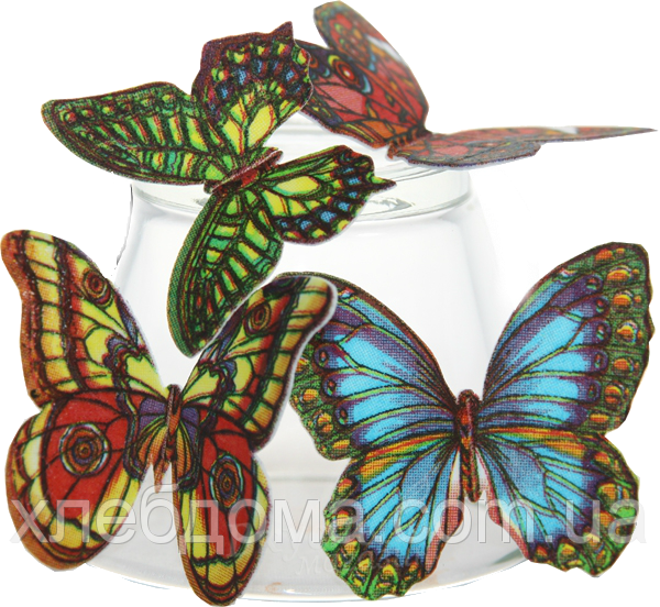 Декор "вафельные Бабочки Цветные С Рисунком Микс" - Вафельные Бабочки На Торт (600x552)