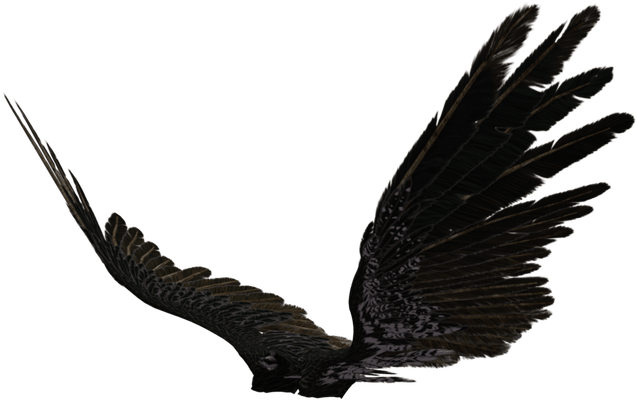 Dark Angel Clipart Transparent - Eagle Wings Side View (720x473)