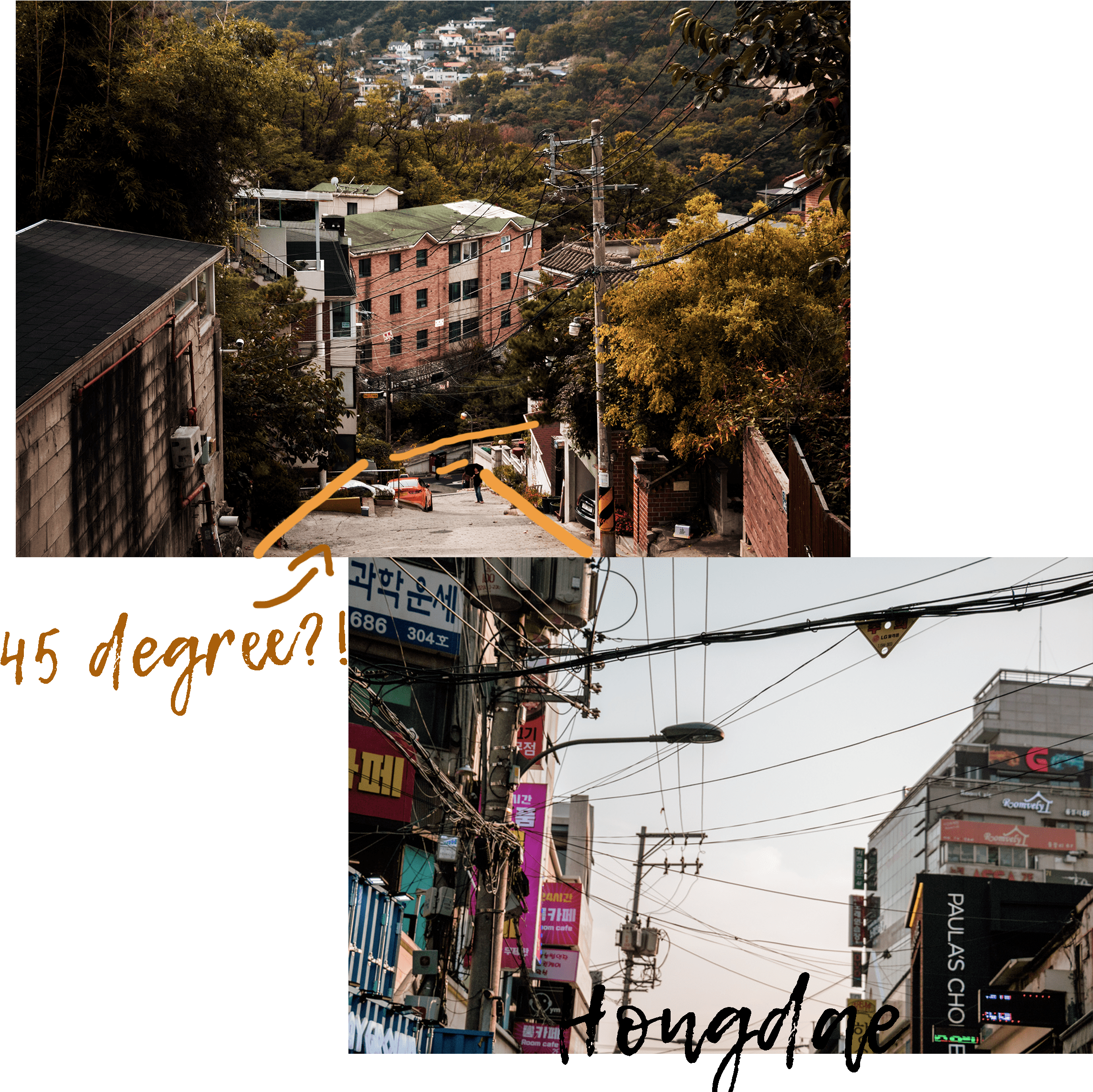 Next To A Rich Selection Of Wine Shelving - Apartment (2400x2400)