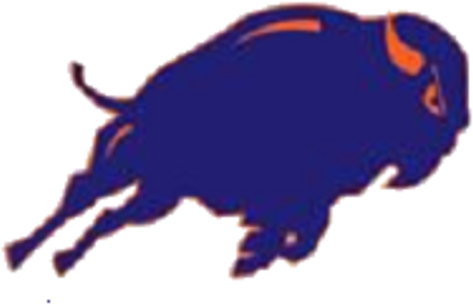 Fenton High School Bison (720x720)