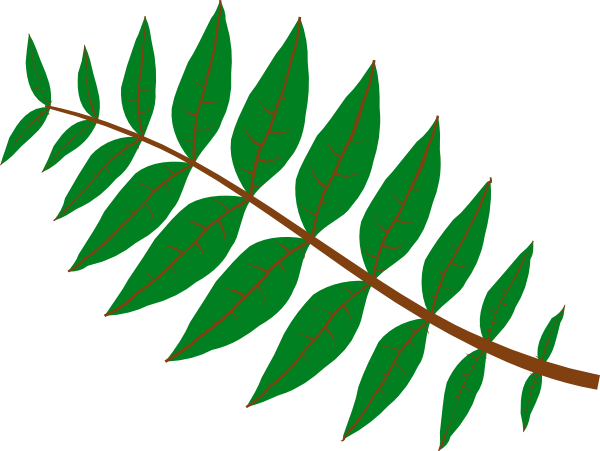 Jungle Leaves Clip Art - Jungle Leaves Clip Art (600x451)