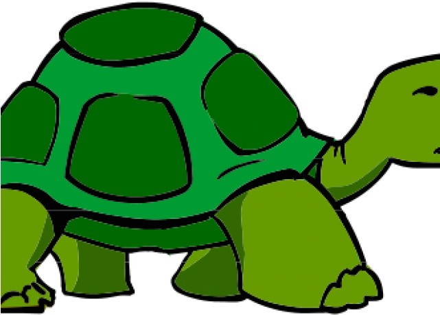 Winter Holiday Clipart - Tortoise Clipart (640x480)