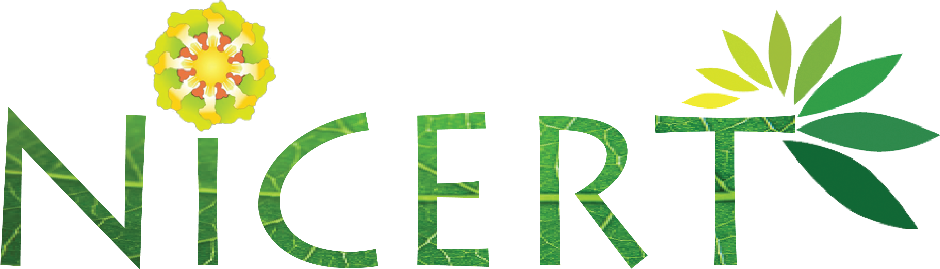 Board Of Directors - Negros Island (3733x1463)