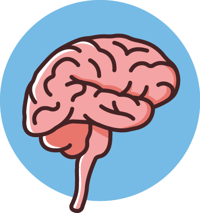 Brains Clipart Central Nervous System - Illustration (413x438)