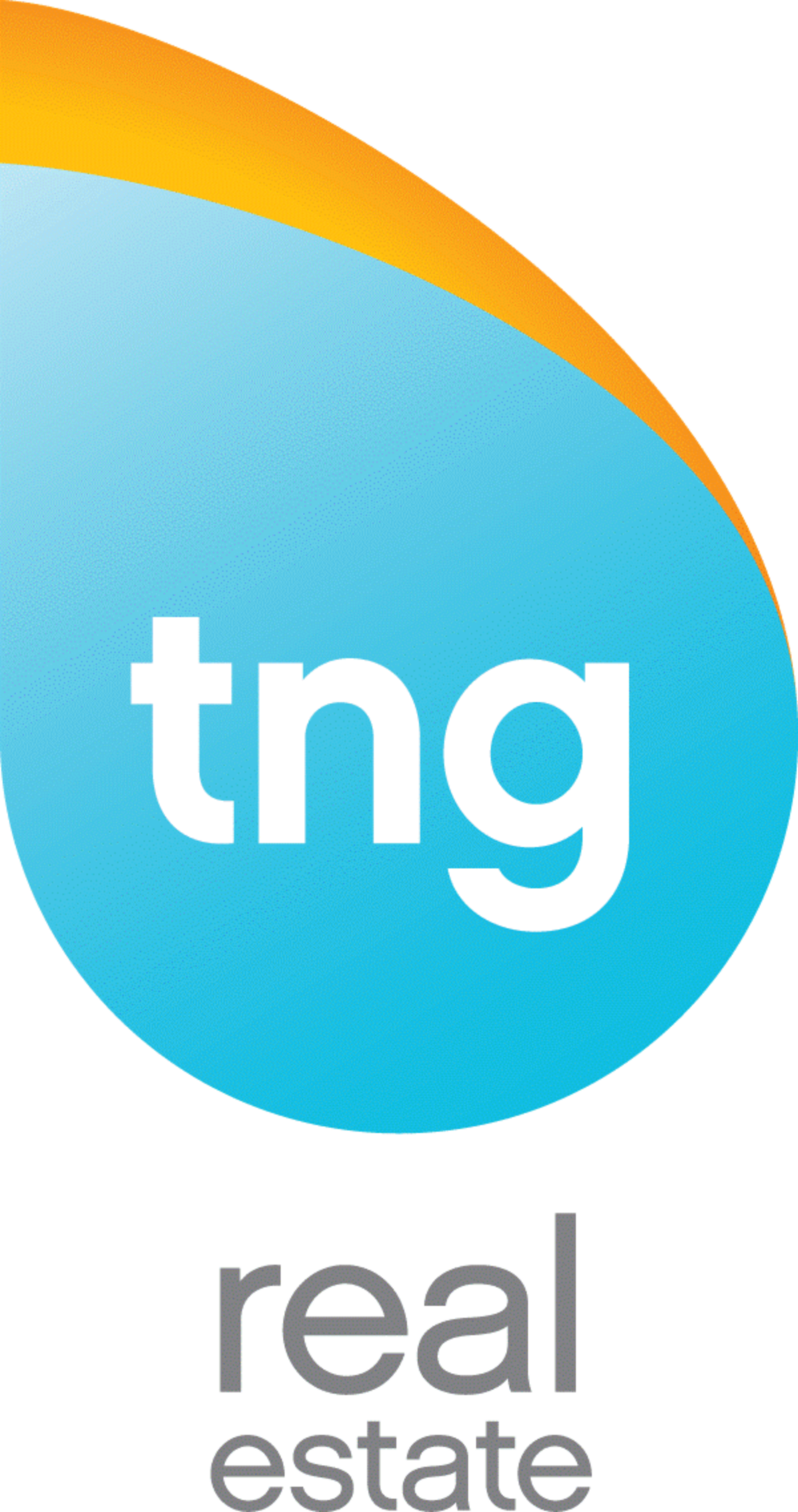 Tng Real Estate Consultants (1000x1895)