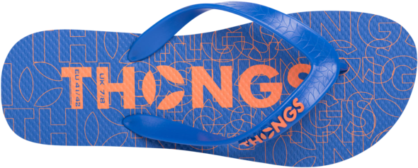 Thongs Blue Print - Thongs Blue Print (600x287)