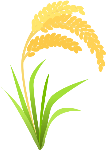 Rice Crop Clipart Png - Hierochloe (512x512)