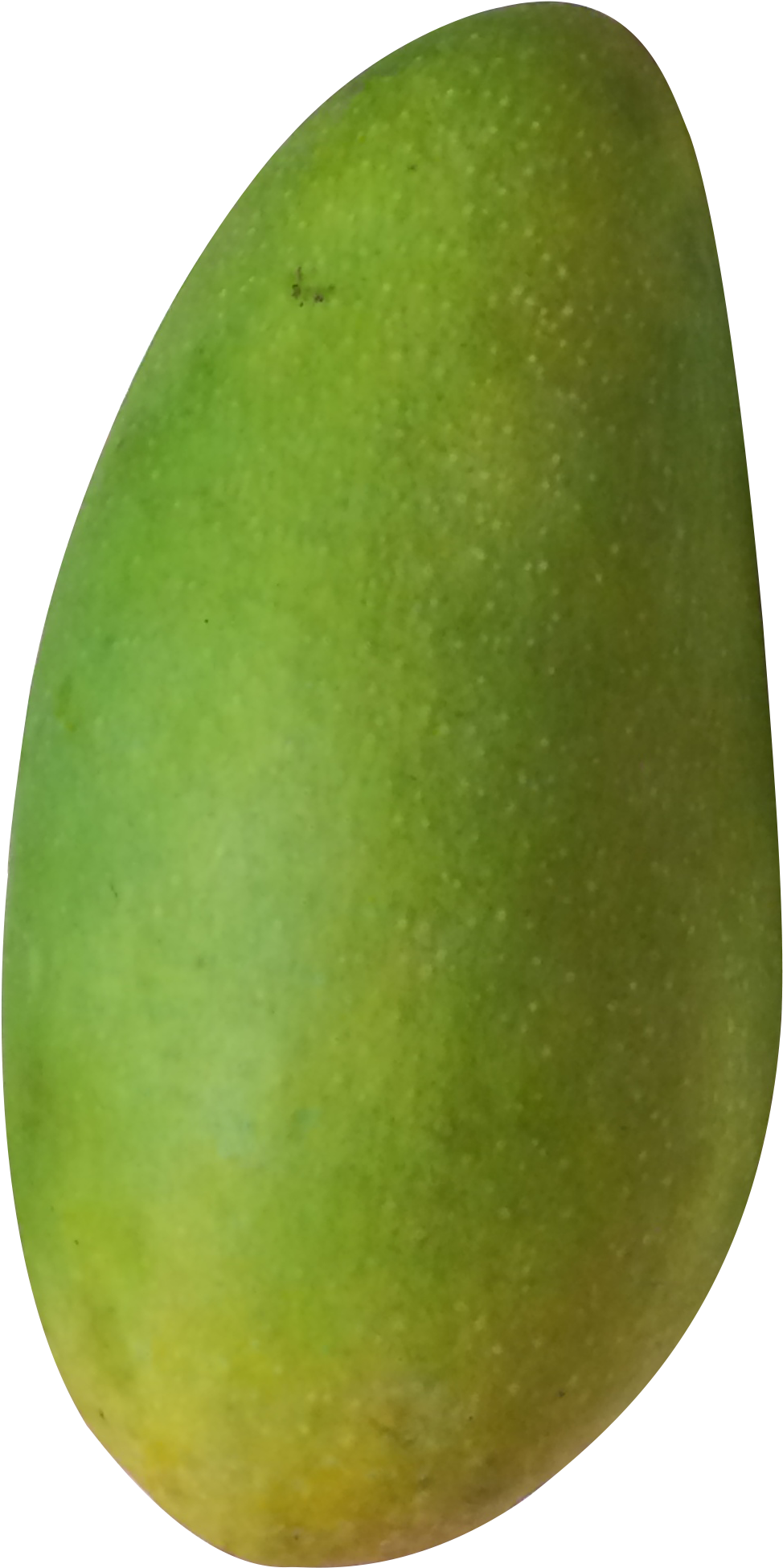 Mango Avocado - A Mango - Mango (1440x2269)