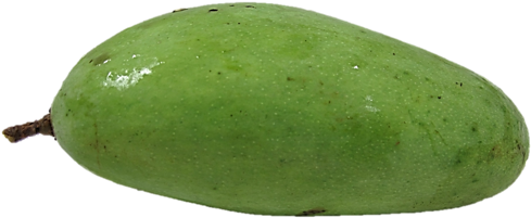 Indian Green Mangoes 1 Piece - Gourd (590x443)