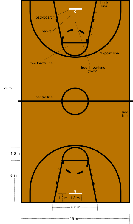 Basketball Court Dimensions Nz (446x749)