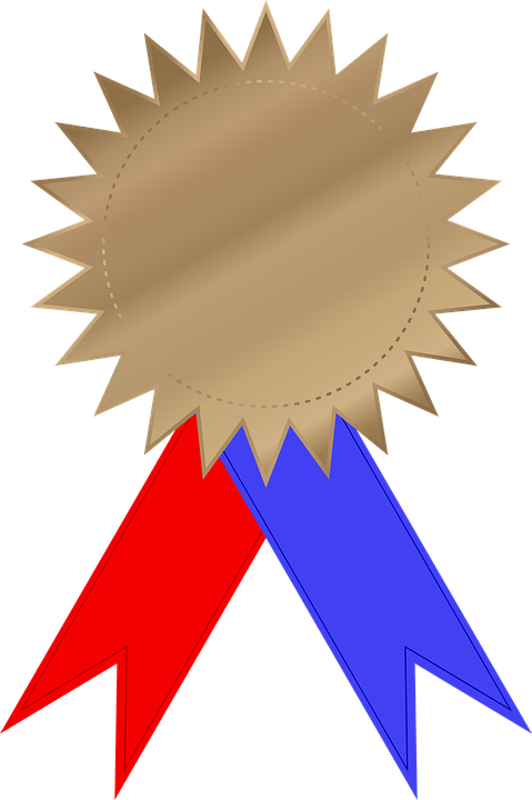 News & World Report - Medal Png (479x720)