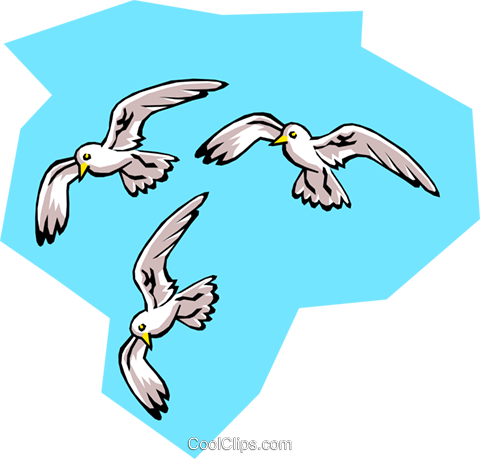 Birds, Seagulls Royalty Free Vector Clip Art Illustration - Lighthouse Keepers Lunch Seagulls (480x459)