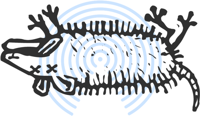 Image Result For Possum Clipart - Clip Art Black And White Dead Rat (1000x400)